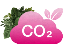 <span data-count-up data-count-up-number='0.75' data-count-up-decimal-places='2'>0,75</span> <small>KG CO<sub>2</sub></small>