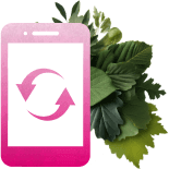 <span data-count-up data-count-up-number='56000'>56 000</span>